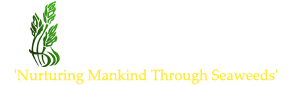 AQUA